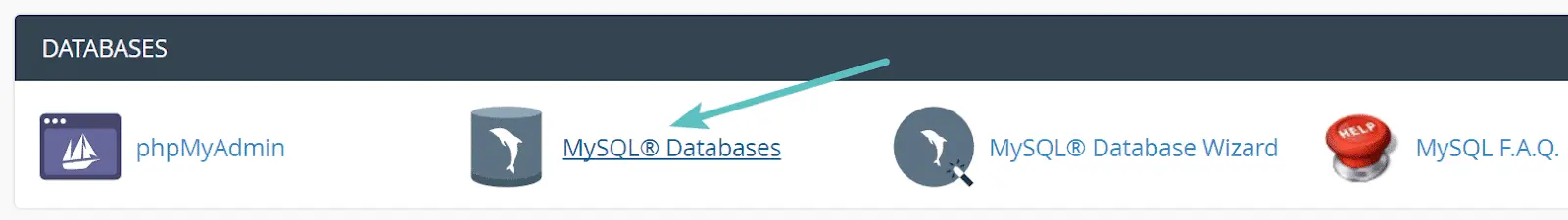 MySQL databases 