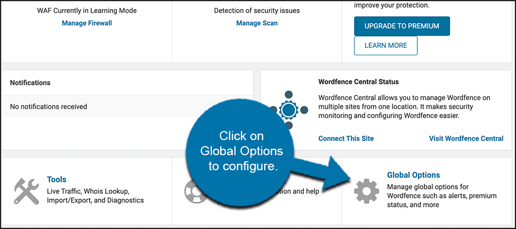 Global options tab