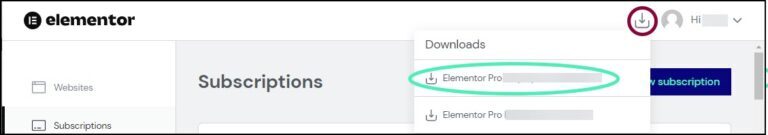 Download Zip file of Elementor Pro
